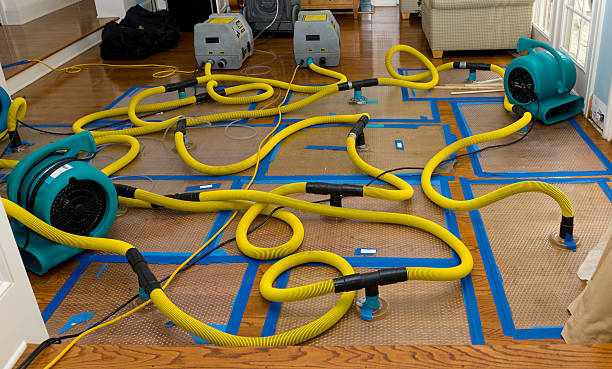 Professional Emergency Water Removal technician working in Overton, TX